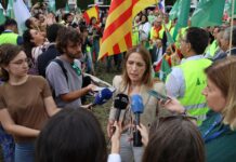 Maestre ve “inadmisible” que la CE esté promoviendo unos recortes “históricos” de la PAC y le exige “que frene sus intenciones”