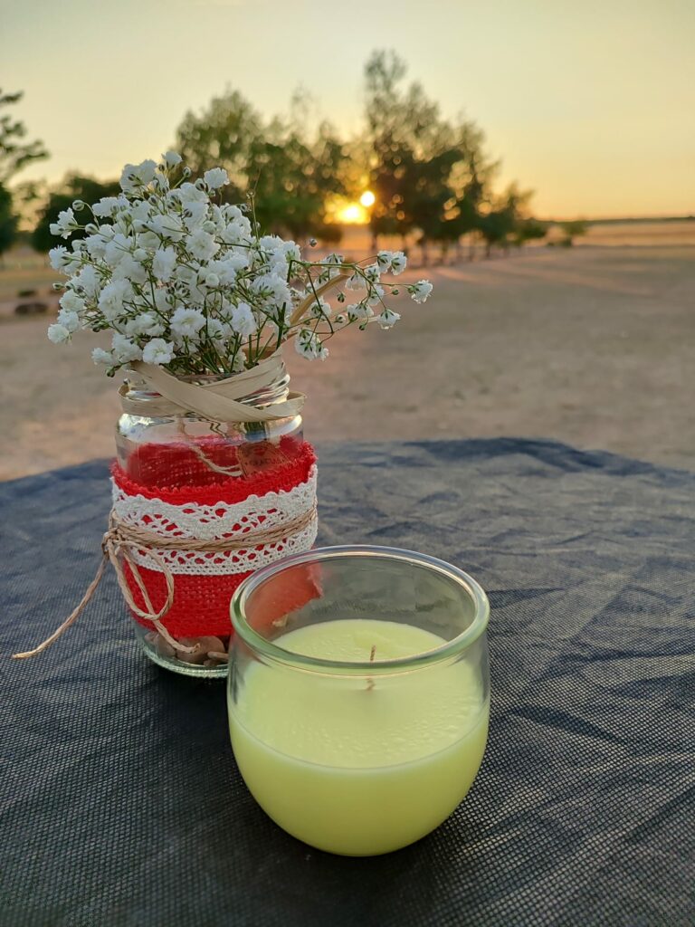 musica vino pedro munoz 4