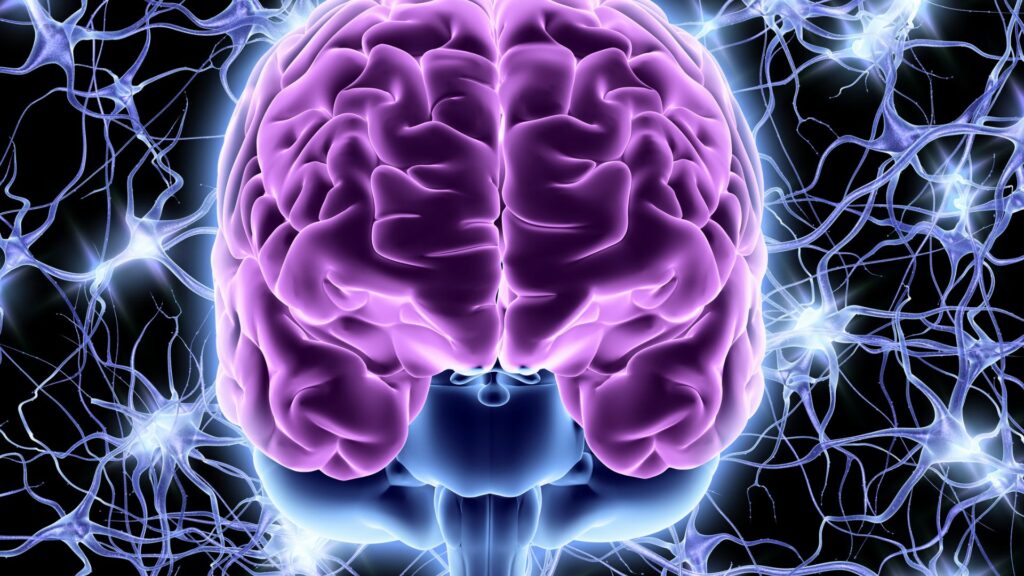 neuromodulacion severo ochoa