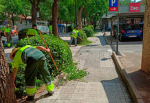 En marcha la primera fase del Plan de Empleo con 24 trabajadores contratados, siendo el Ayuntamiento de Tomelloso la administración que más aporta con un total de 488.013,64 €