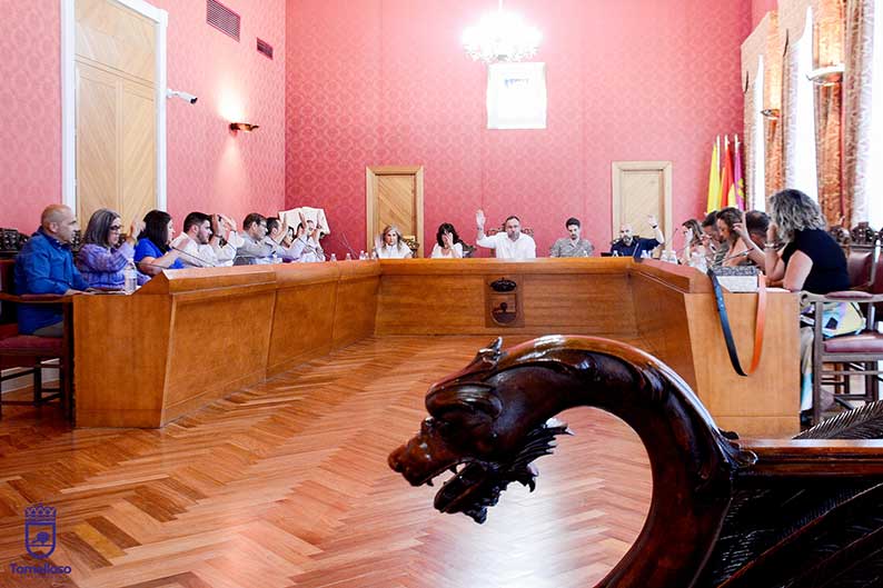 El Pleno en el Ayuntamiento de Tomelloso aprueba por unanimidad el apoyo a las medidas para el control de la población de conejos