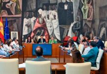 El Pleno aprueba un Reglamento del Servicio de Asistencia a Municipios que será “un hito en el desarrollo de las funciones y competencias que tiene la Diputación”