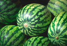 Precios de salida para melones sandías en Castilla-La Mancha que no cubren costes de producción