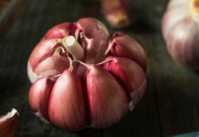 ASAJA Cuenca solicita un aumento de la vigilancia para evitar los robos nocturnos de ajos en el campo