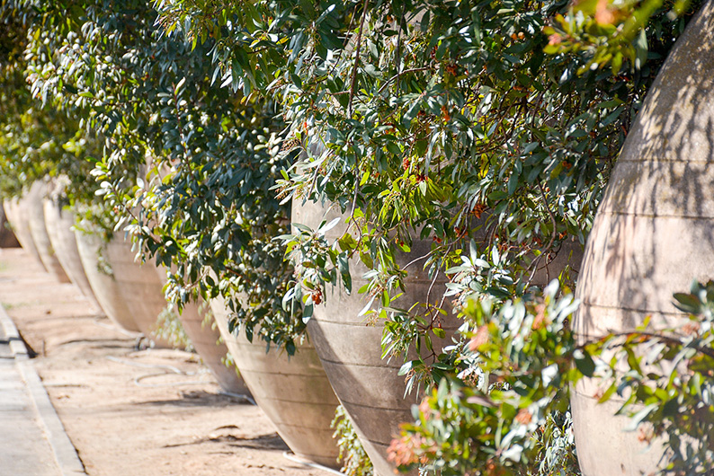 El 23 de julio comenzará el servicio de seguridad privada del Parque Urbano Martínez de Tomelloso