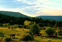 Senderismo en Castilla-La Mancha: las mejores rutas para descubrir su naturaleza
