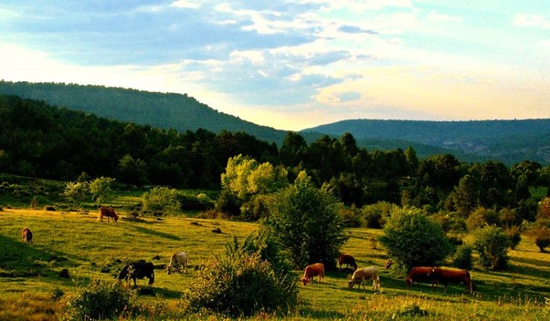 Senderismo en Castilla-La Mancha: las mejores rutas para descubrir su naturaleza