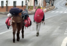 “Éste siempre manteniéndose en sus trece – sin oficio ni beneficio”