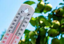 El tiempo en Castilla-La Mancha para hoy 25 de julio