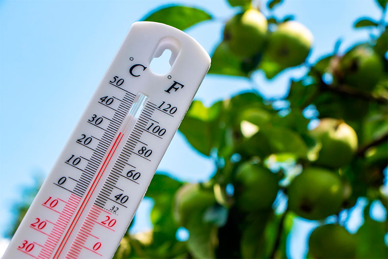 El tiempo en Castilla-La Mancha para hoy 25 de julio