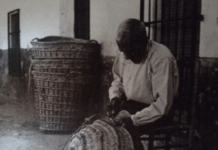 “La vejez que mal deseada es…”