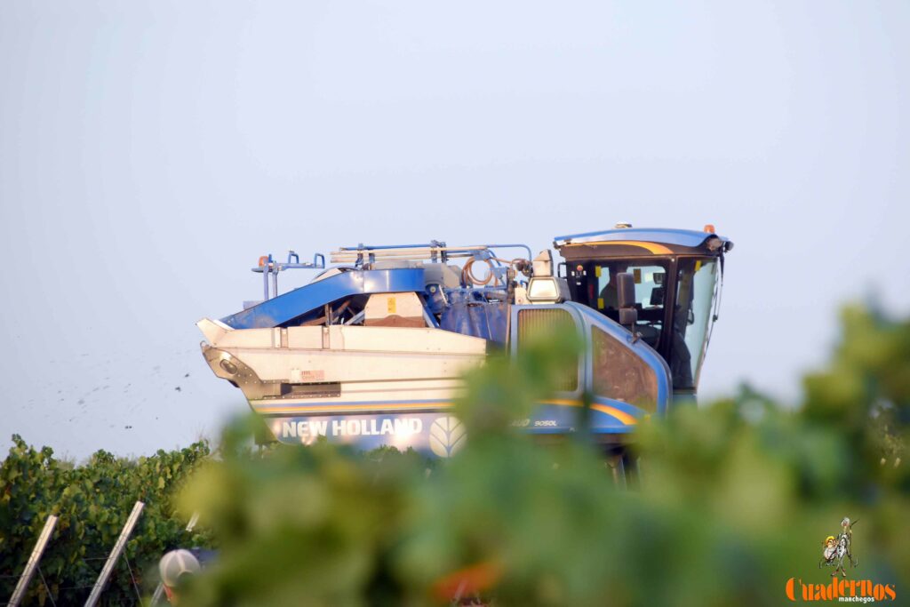 arranca vendimia vinicola tomelloso 08