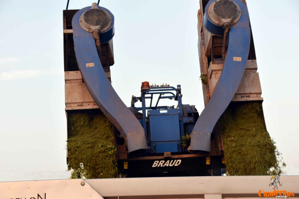 arranca vendimia vinicola tomelloso 21