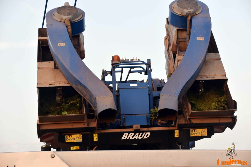 arranca vendimia vinicola tomelloso 24