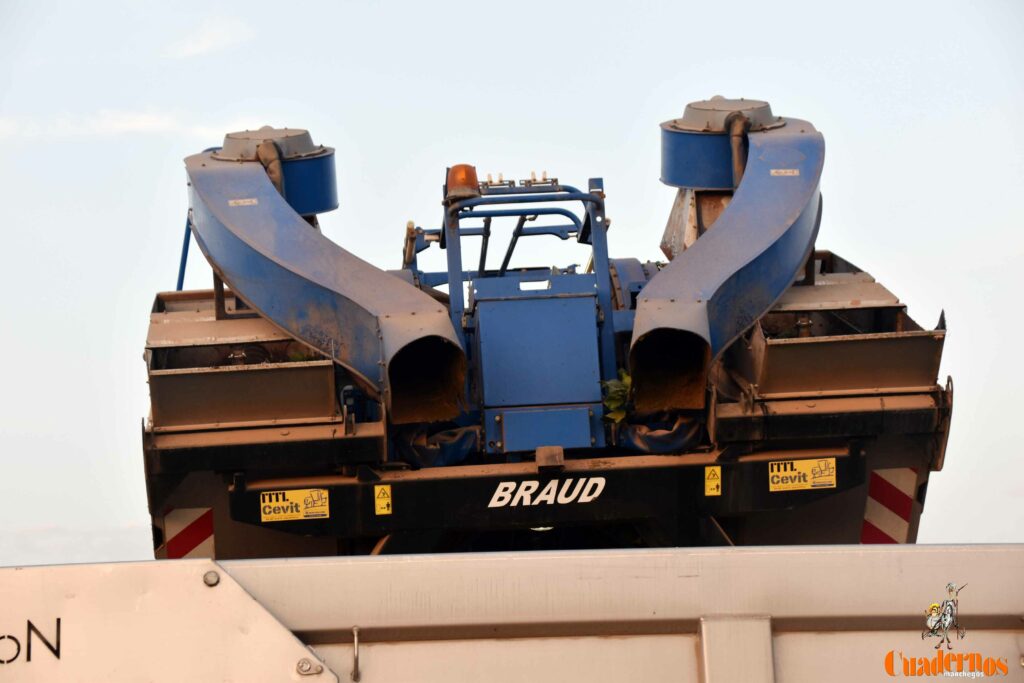 arranca vendimia vinicola tomelloso 25