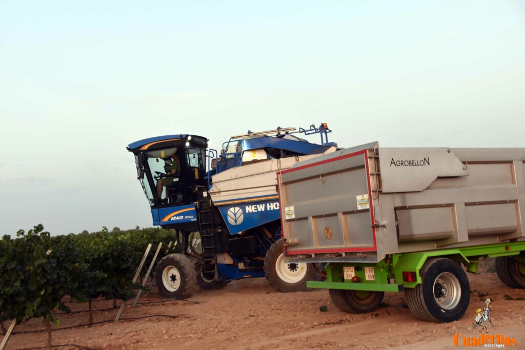 arranca vendimia vinicola tomelloso 26