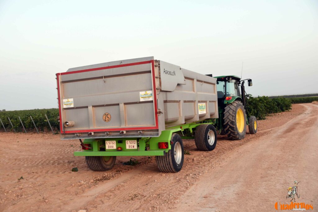 arranca vendimia vinicola tomelloso 40