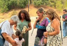 Castilla-La Mancha refuerza el acogimiento familiar y son más los niños y niñas que crecen hoy en un hogar que en un centro residencial