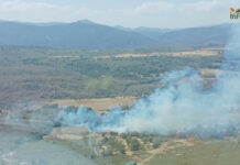 Controlado el incendio forestal de Campillo de Ranas