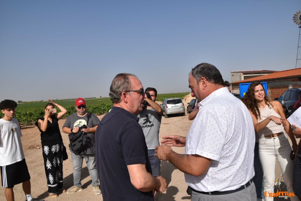 dano pedrisco tomelloso 3