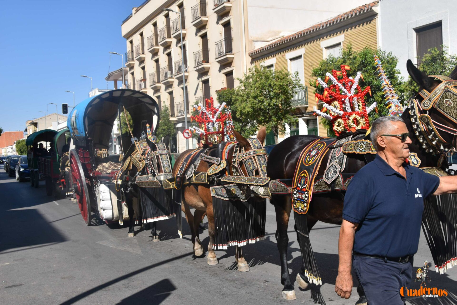 Tomelloso se rinde a sus raíces: así brilló el Desfile de Reatas, Carros y Mulas 2025