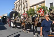 Tomelloso se rinde a sus raíces: así brilló el Desfile de Reatas, Carros y Mulas 2025