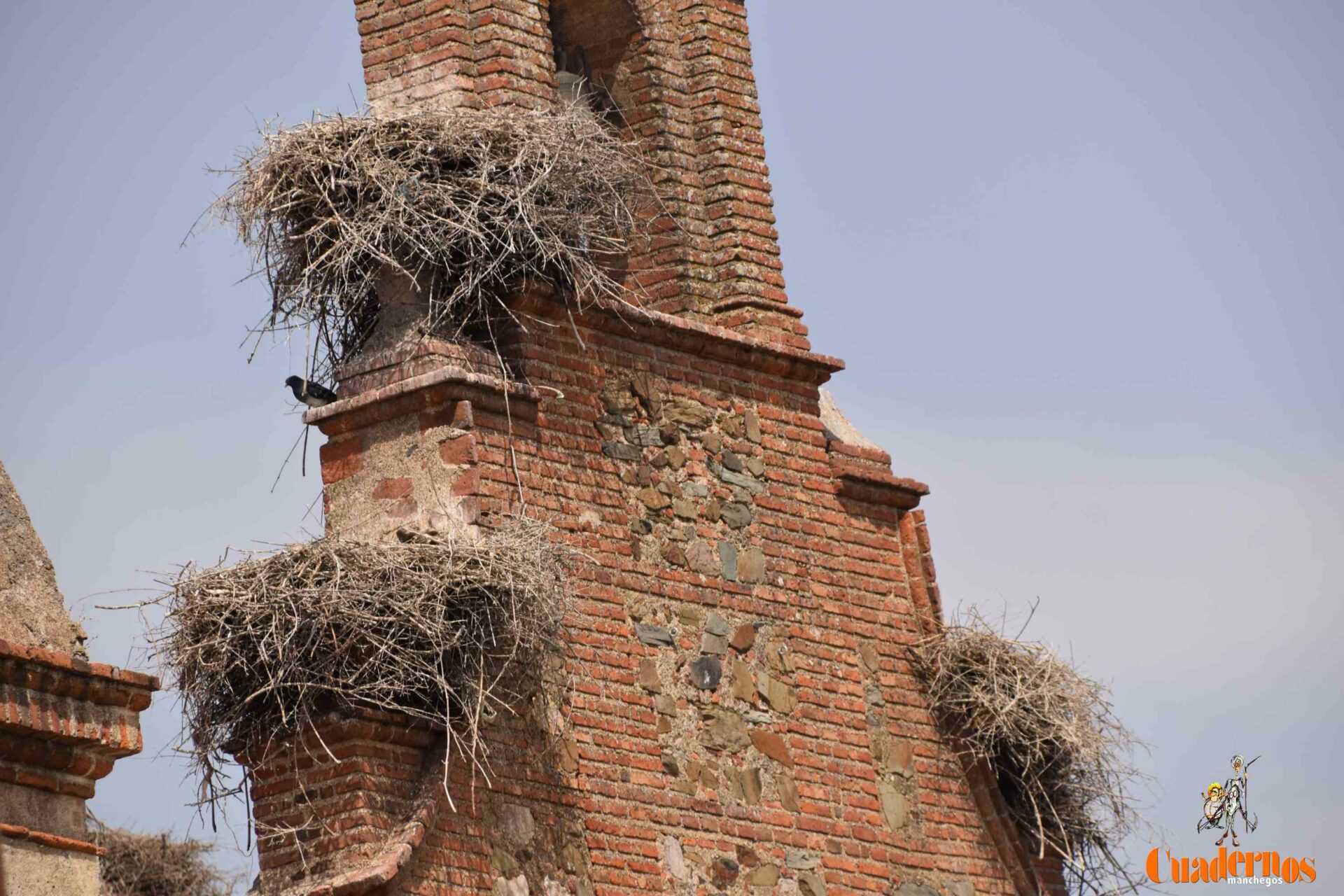 Hoy se celebra el Día Mundial de la Fotografía: te contamos algunos detalles de esta efeméride