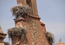 Hoy se celebra el Día Mundial de la Fotografía: te contamos algunos detalles de esta efeméride