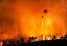 El papel imprescindible de los y las agentes medioambientales en los incendios