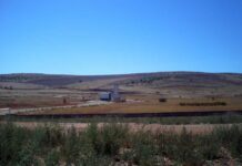 Trágico accidente en Valdepeñas: una trabajadora muere atropellada por su propio vehículo