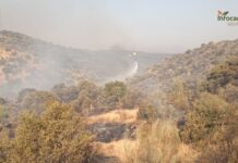El incendio en Navalmoralejo arrasa Más de 3.000 Hectáreas y baja a nivel 1: Actualización de la Emergencia