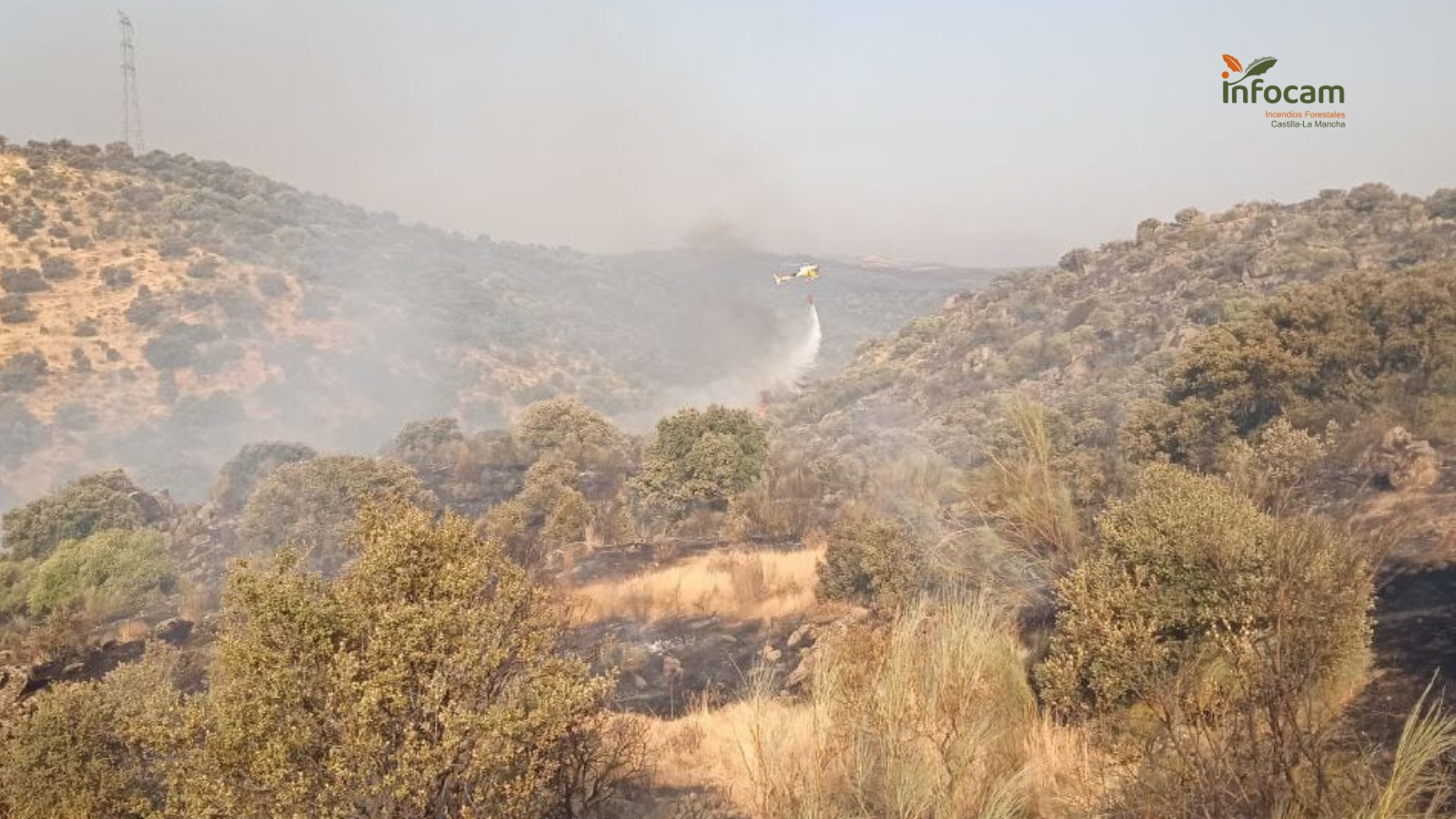 El incendio en Navalmoralejo arrasa Más de 3.000 Hectáreas y baja a Nivel 1: Actualización de la Emergencia