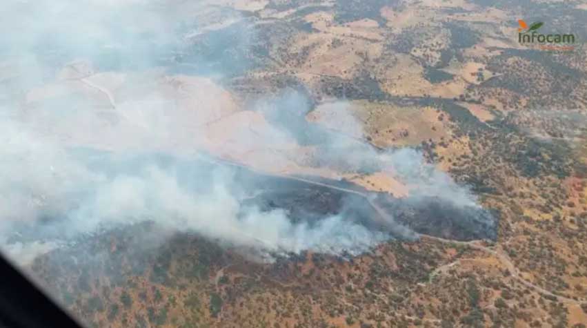 La Junta solicita la colaboración de la UME para intervenir en el incendio forestal de Navalmoralejo