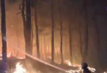 El fuego arrasa miles de hectáreas en Ourense obligando a interrumpir trenes