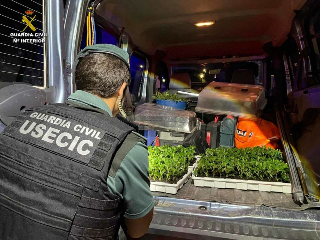 Detenidas dos personas por transportar 400 plantas de marihuana en un vehículo en el Pozo de Guadalajara