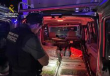 Detenidas dos personas por transportar 400 plantas de marihuana en un vehículo en el Pozo de Guadalajara