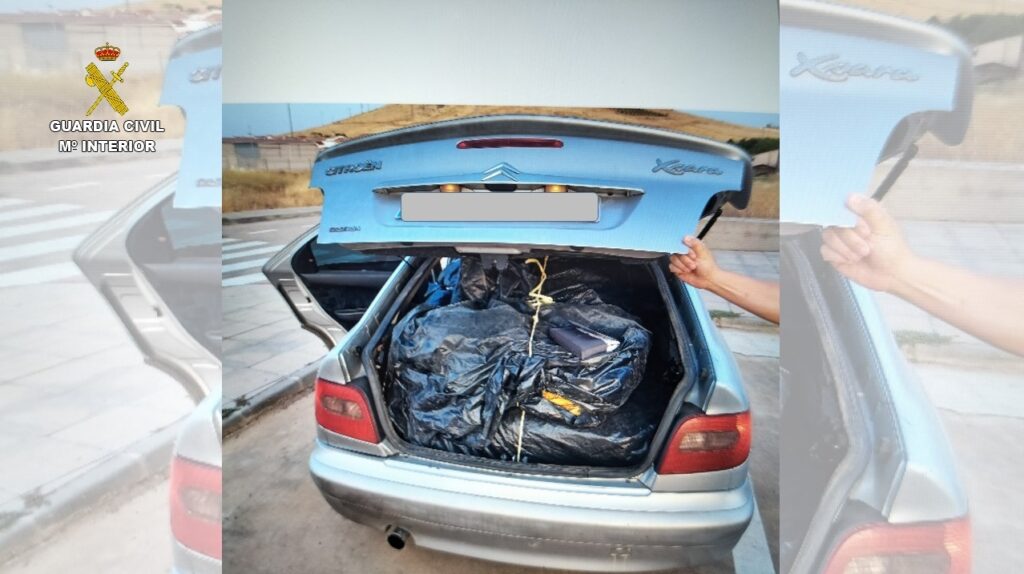 intervenidos kilos tabaco 2