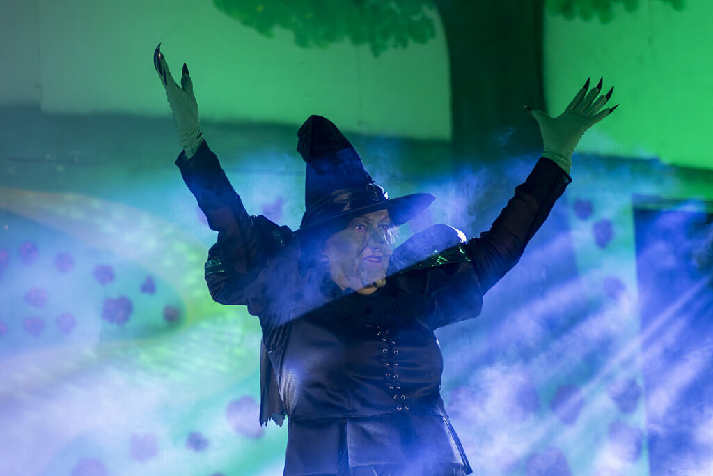 magia de oz argamasilla 5