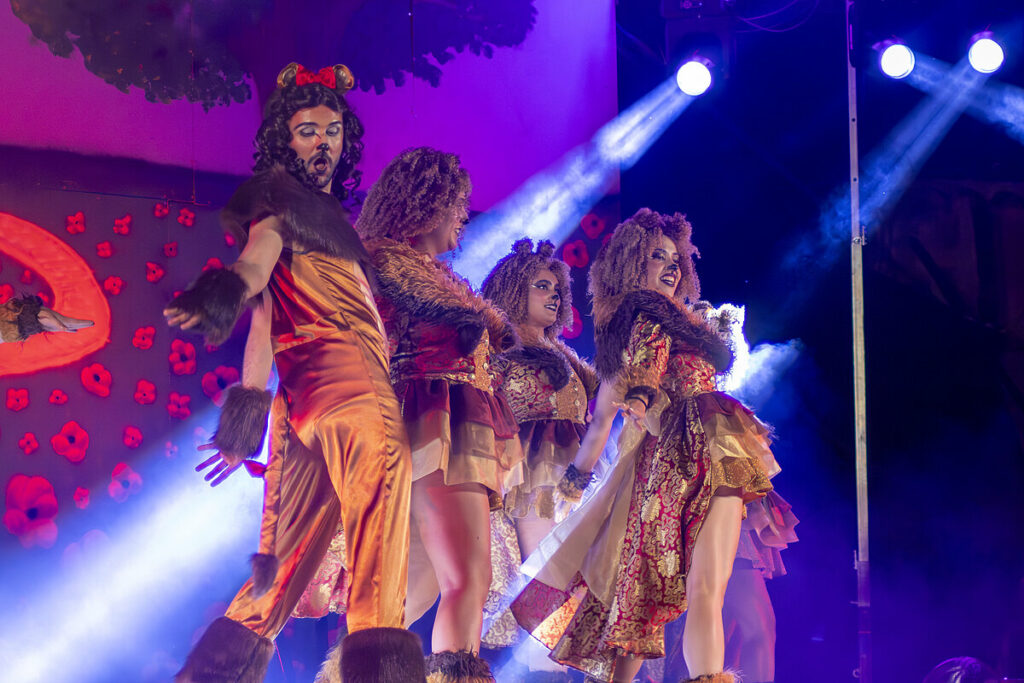 magia de oz argamasilla 7