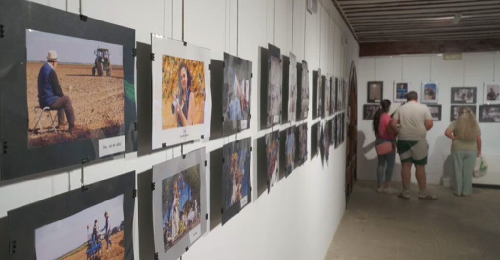 maratonfotografico romeria tomelloso 2025 7