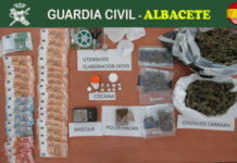 Detenidas cuatro personas y desmantelado un centro de producción y germinación de cannabis sativa