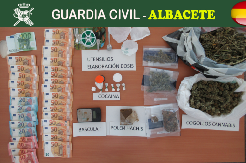 Detenidas cuatro personas y desmantelado un centro de producción y germinación de cannabis sativa