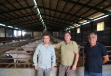 La Junta ha abonado más de 38 millones de euros a los ganaderos de ovino y caprino en la campaña de la PAC de 2024