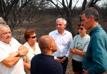 Pedro Sánchez anuncia que el Gobierno declarará el próximo martes zonas afectadas por una emergencia de protección civil a muchos de los territorios que están sufriendo incendios