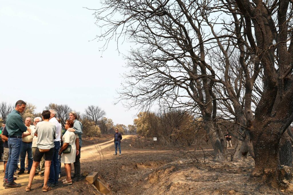 pedrosanchez visita caceres.jpg 05
