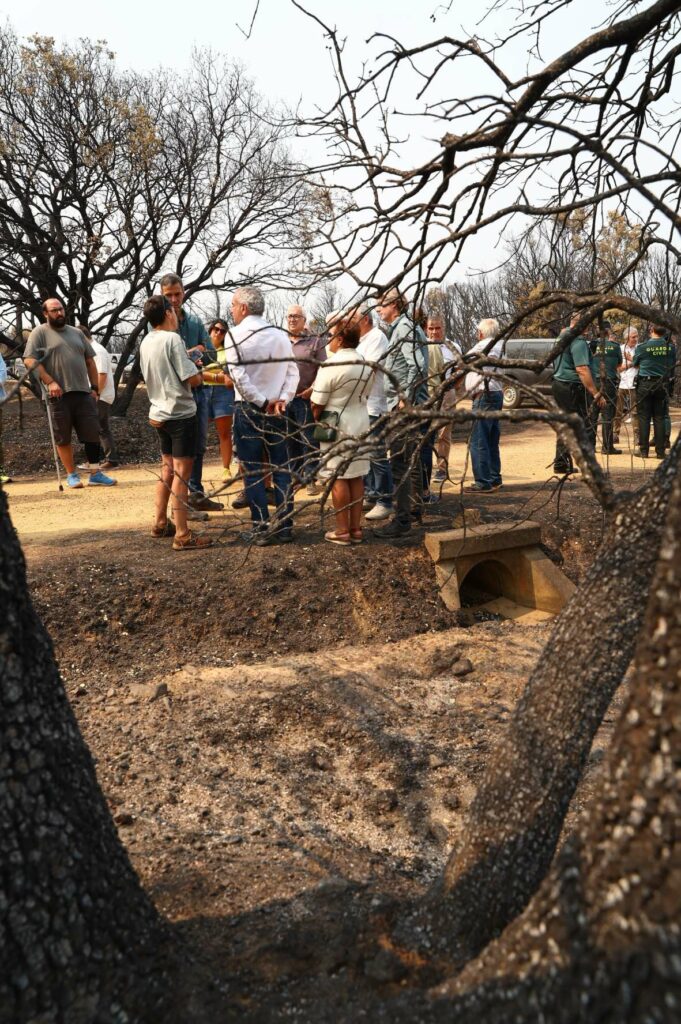 pedrosanchez visita caceres.jpg 07