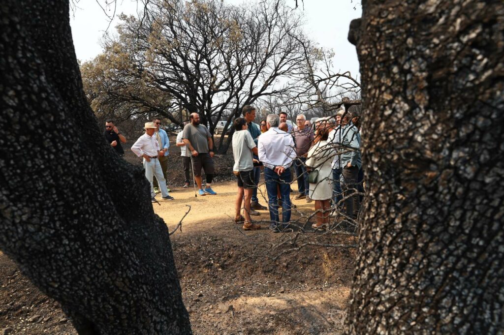 pedrosanchez visita caceres.jpg 08