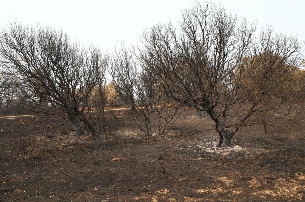 pedrosanchez visita caceres.jpg 10