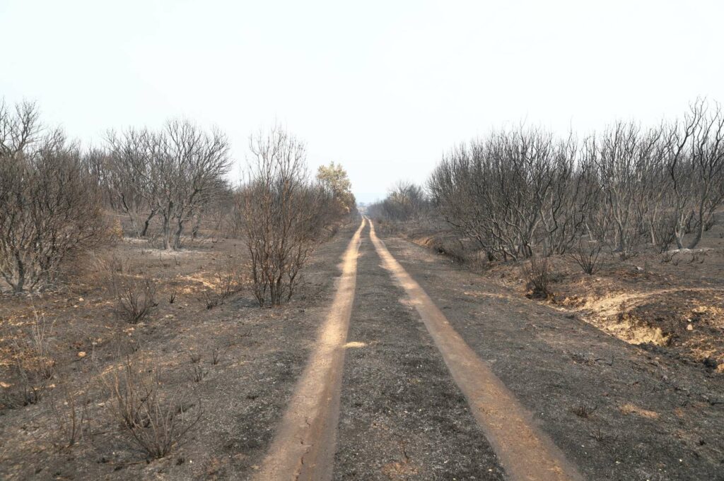 pedrosanchez visita caceres.jpg 11