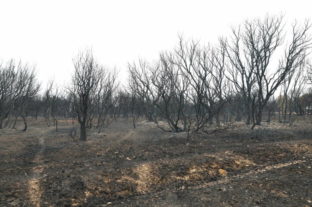 pedrosanchez visita caceres.jpg 12